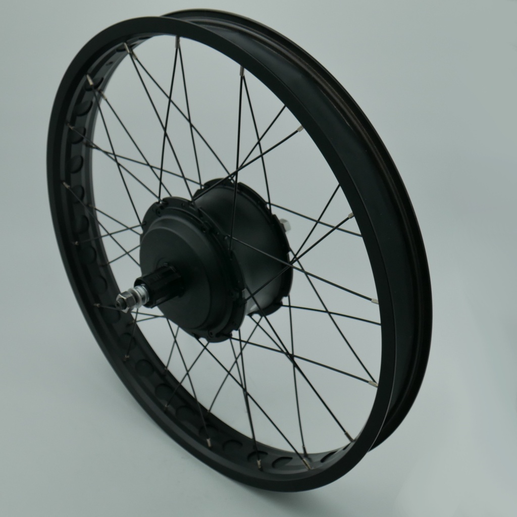 Shengyi 52V 750W Hub Motor in 24" Wheel